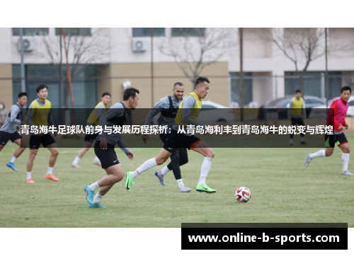 青岛海牛足球队前身与发展历程探析：从青岛海利丰到青岛海牛的蜕变与辉煌